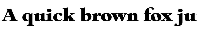 Preview of FONTSPRING DEMO - Bamberg Serial Heavy Regular font