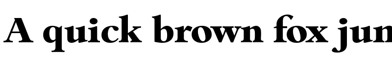 Preview of FONTSPRING DEMO - Bamberg Serial Xbold Regular font