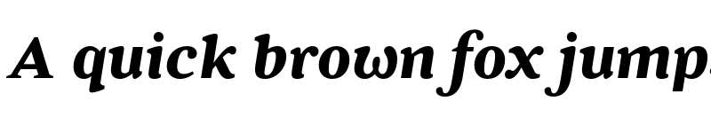 Preview of FONTSPRING DEMO - Battlefin Bold Italic font