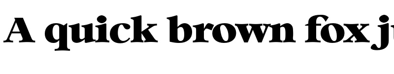 Preview of FONTSPRING DEMO - Bernstein Serial Heavy Regular font