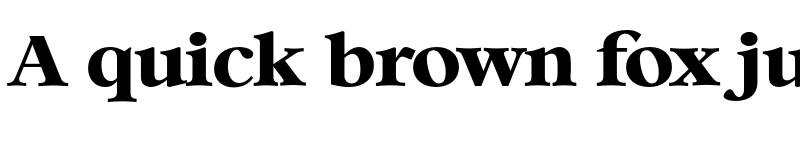 Preview of FONTSPRING DEMO - Bernstein Serial Xbold Regular font