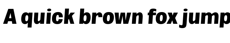 Preview of FONTSPRING DEMO - Black ExtCond SeObli Italic font