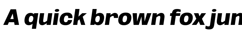 Preview of FONTSPRING DEMO - Black Obli Italic font