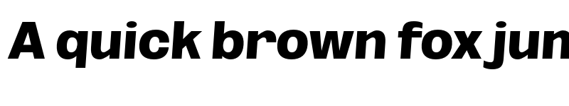 Preview of FONTSPRING DEMO - Black SeObli Italic font