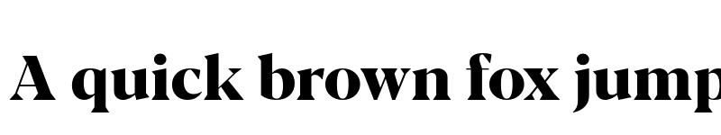 Preview of FONTSPRING DEMO - Blacker Pro Dis ExBd Regular font