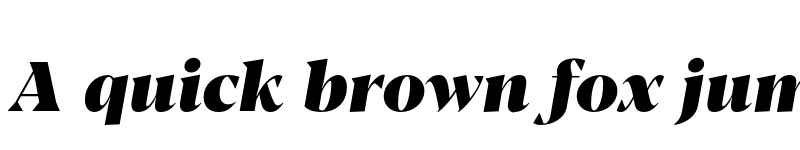 Preview of FONTSPRING DEMO - Blacker Pro Dis Hv Italic font