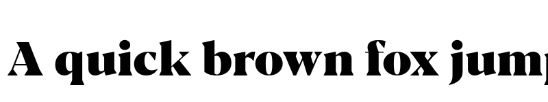 Preview of FONTSPRING DEMO - Blacker Pro Dis Hv Regular font