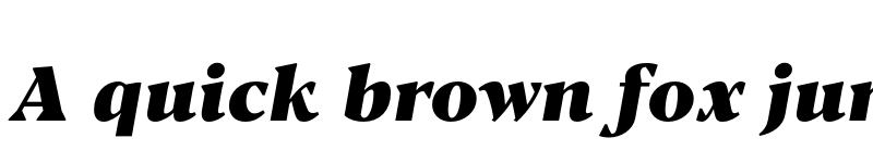 Preview of FONTSPRING DEMO - Blacker Pro Tx Hv Italic font