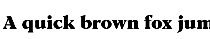 Preview of FONTSPRING DEMO - Blacker Pro Tx Hv Regular font