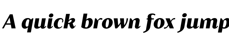 Preview of FONTSPRING DEMO - Blacker Sans Text Heavy Italic font