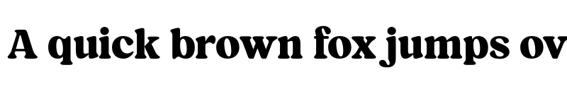 Preview of FONTSPRING DEMO - Blood Orange Bold font