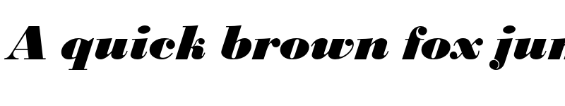 Preview of FONTSPRING DEMO - Bodoni Black FS Italic font