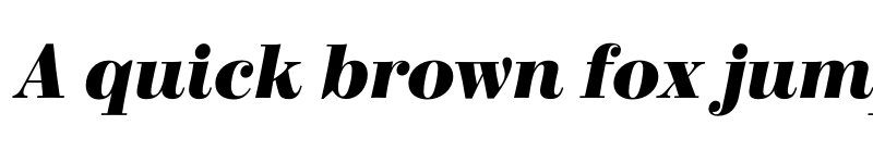 Preview of FONTSPRING DEMO - Bodoni Elegant ExtBd Italic font