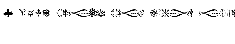 Preview of FONTSPRING DEMO - BodoniClassic-Ornaments Regular font