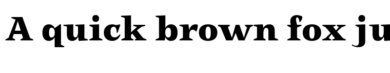 Preview of FONTSPRING DEMO - Body Heavy Regular font