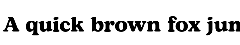 Preview of FONTSPRING DEMO - Bogart Alt Bold font