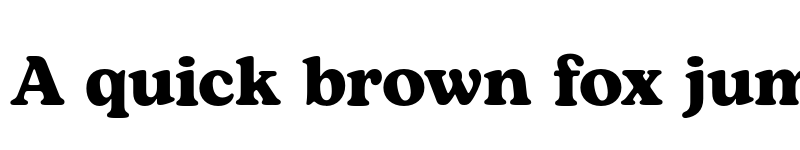 Preview of FONTSPRING DEMO - Bogart Bold font