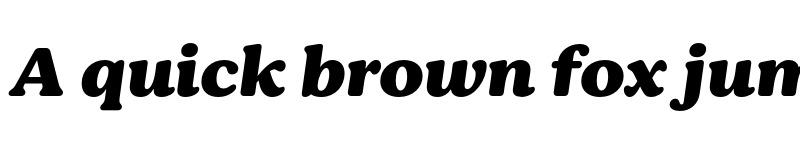 Preview of FONTSPRING DEMO - Bogue Black Italic font