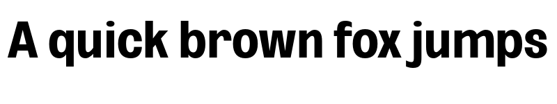 Preview of FONTSPRING DEMO - Bold ExtCond Bold font