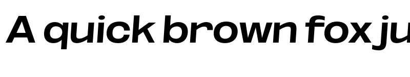 Preview of FONTSPRING DEMO - Bold ExtExp SeObli Italic font