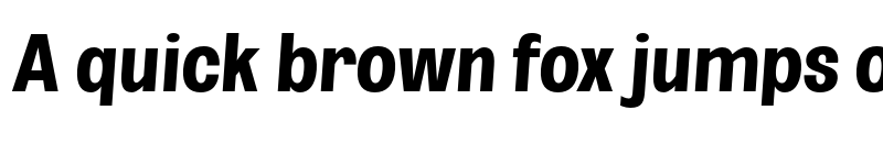 Preview of FONTSPRING DEMO - Bold UltCond SeObli Italic font