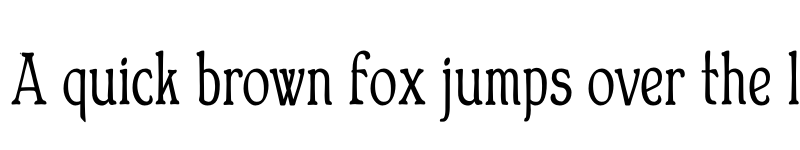 Preview of FONTSPRING DEMO - Bonning Narrow Bold font