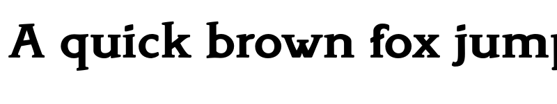 Preview of FONTSPRING DEMO - Bookish Bold font