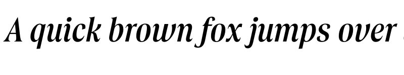 Preview of FONTSPRING DEMO - Borax Italic font