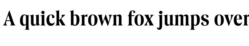 Preview of FONTSPRING DEMO - Borax Medium Regular font