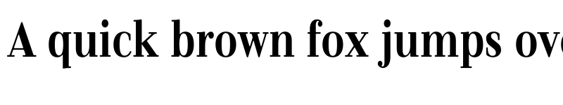 Preview of FONTSPRING DEMO - Bowdon Narrow Regular font