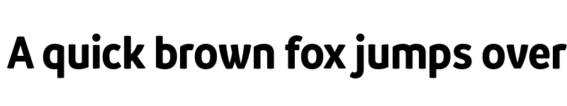 Preview of FONTSPRING DEMO - Branding SF Narrow Bold Regular font