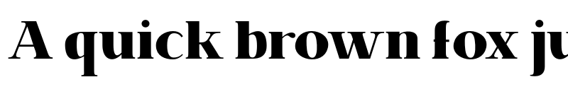 Preview of FONTSPRING DEMO - BrixtonPro-CondensedHeavy Regular font