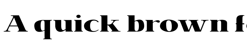 Preview of FONTSPRING DEMO - BrixtonPro-Heavy Regular font