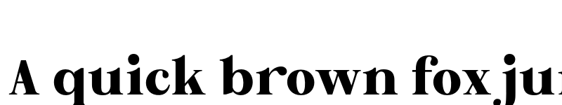 Preview of FONTSPRING DEMO - Brohoney family Black Regular font