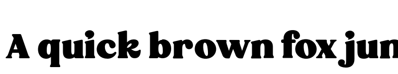 Preview of FONTSPRING DEMO - Broking Regular font