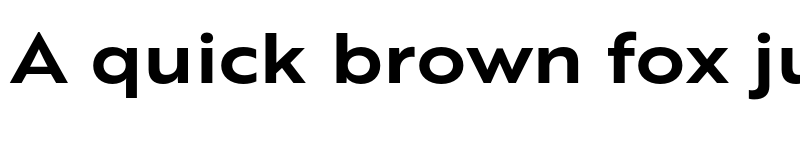 Preview of FONTSPRING DEMO - Brother XL Bold font