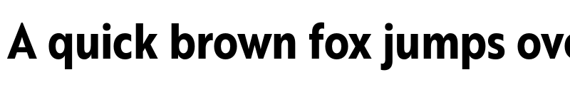 Preview of FONTSPRING DEMO - Brother XS Bold font