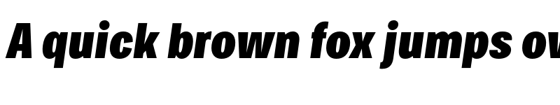 Preview of FONTSPRING DEMO - Bruta Pro Compressed Ex Bold It Regular font