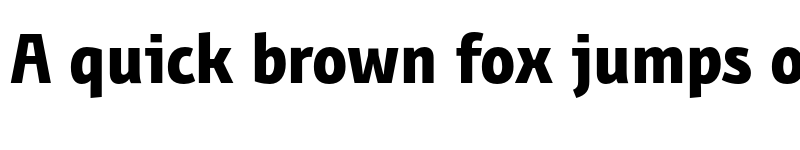 Preview of FONTSPRING DEMO - BunaeroPro-ExtraBold Regular font