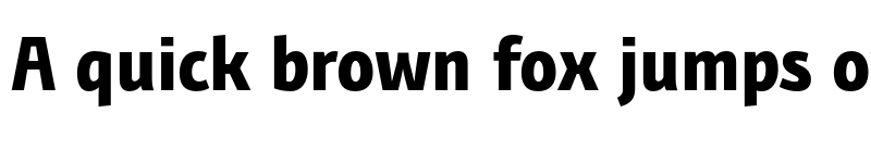 Preview of FONTSPRING DEMO - BunaeroPro-ExtraBoldCl Regular font