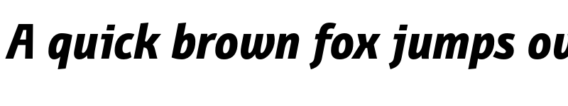 Preview of FONTSPRING DEMO - BunaeroPro-ExtraBoldIt Regular font