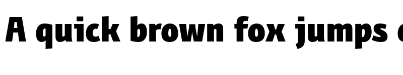 Preview of FONTSPRING DEMO - BunaeroPro-Heavy Regular font