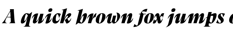 Preview of FONTSPRING DEMO - Calvino Grande Black Italic font