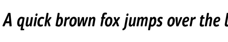 Preview of FONTSPRING DEMO - Cambridge Round Light Cond Bold Italic font