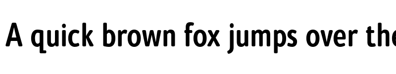 Preview of FONTSPRING DEMO - Cambridge Round Light Cond Bold font