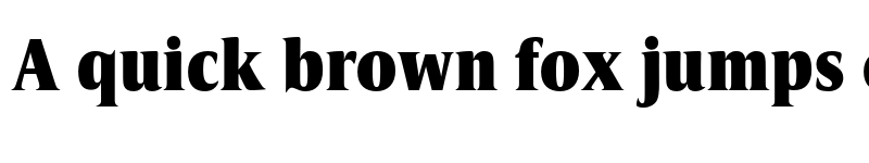 Preview of FONTSPRING DEMO - Candide Cond Heavy Regular font