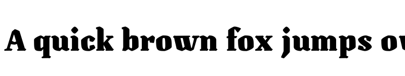 Preview of FONTSPRING DEMO - Canilari Negra Bold font