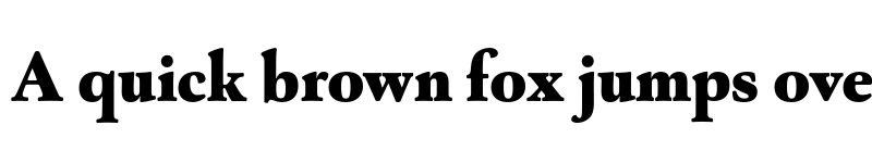 Preview of FONTSPRING DEMO - Capricho Black Regular font