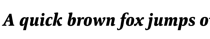 Preview of FONTSPRING DEMO - Carrara Black Italic font