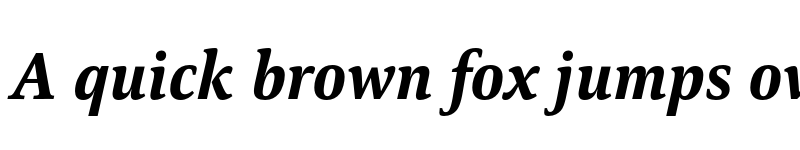 Preview of FONTSPRING DEMO - Carrara ExtraBold Italic font